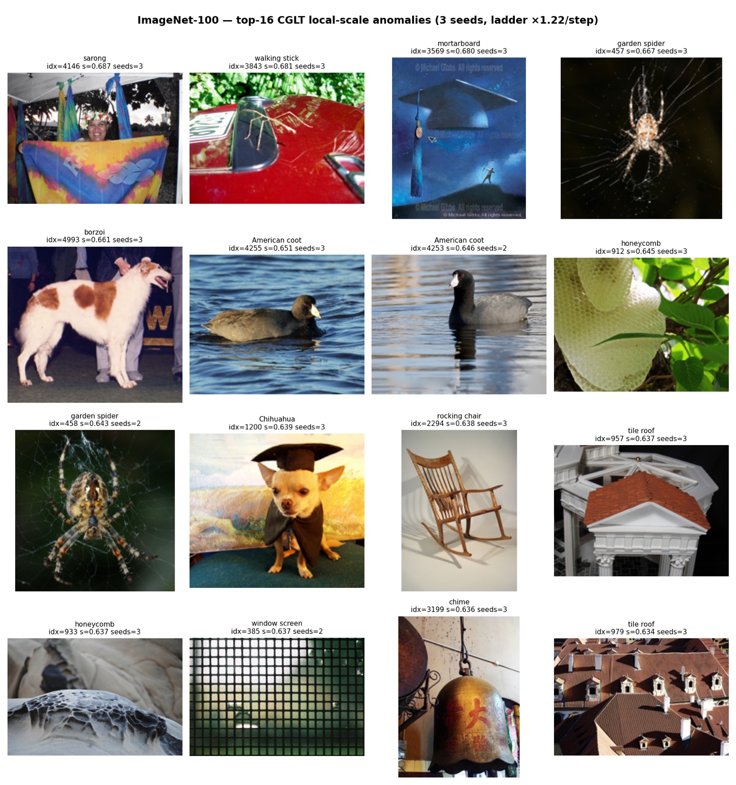 Inet100 test-set images flagged as anomalous by the UR-JEPA local-scale clustering probe, dominated by repetitive textures (American coot, garden spider webs, tile roof, window screen, computer keyboard, honeycomb)